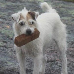 Meet your Posher, Marsha